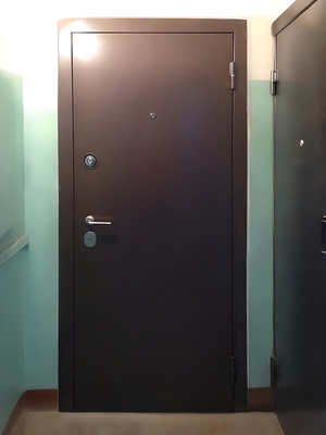 Фото дверей с порошковым покрытием