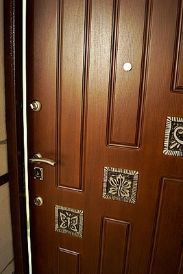 Дверь с ковкой