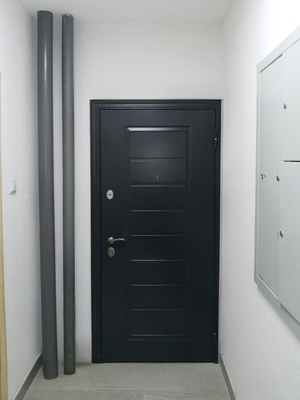 Дверь с выдавленным рисунком