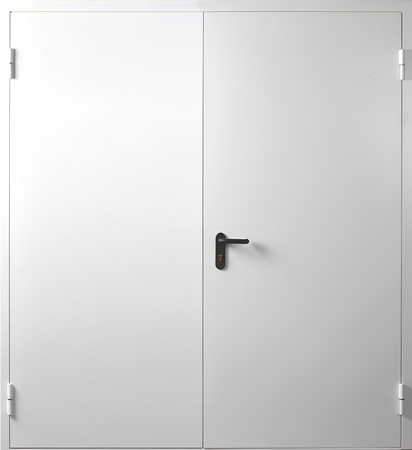 Двупольная глухая противопожарная дверь Двупольная глухая противопожарная дверь