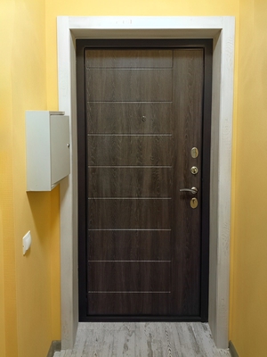 Фото двери в прихожей