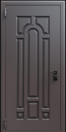Входная термодверь с металлофиленкой и порошковым окрашиванием RAL 8019 (тип №13)