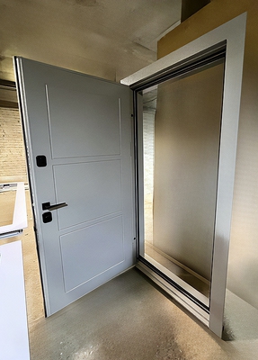 Стальная однопольная дверь